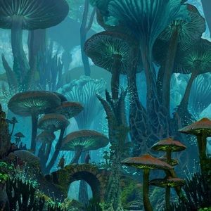 Meet your Posher, Jimena